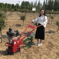 173柴油小型农业机械旋耕机 价格履带式微耕机 四驱链轨田园管理机 宏泰直销