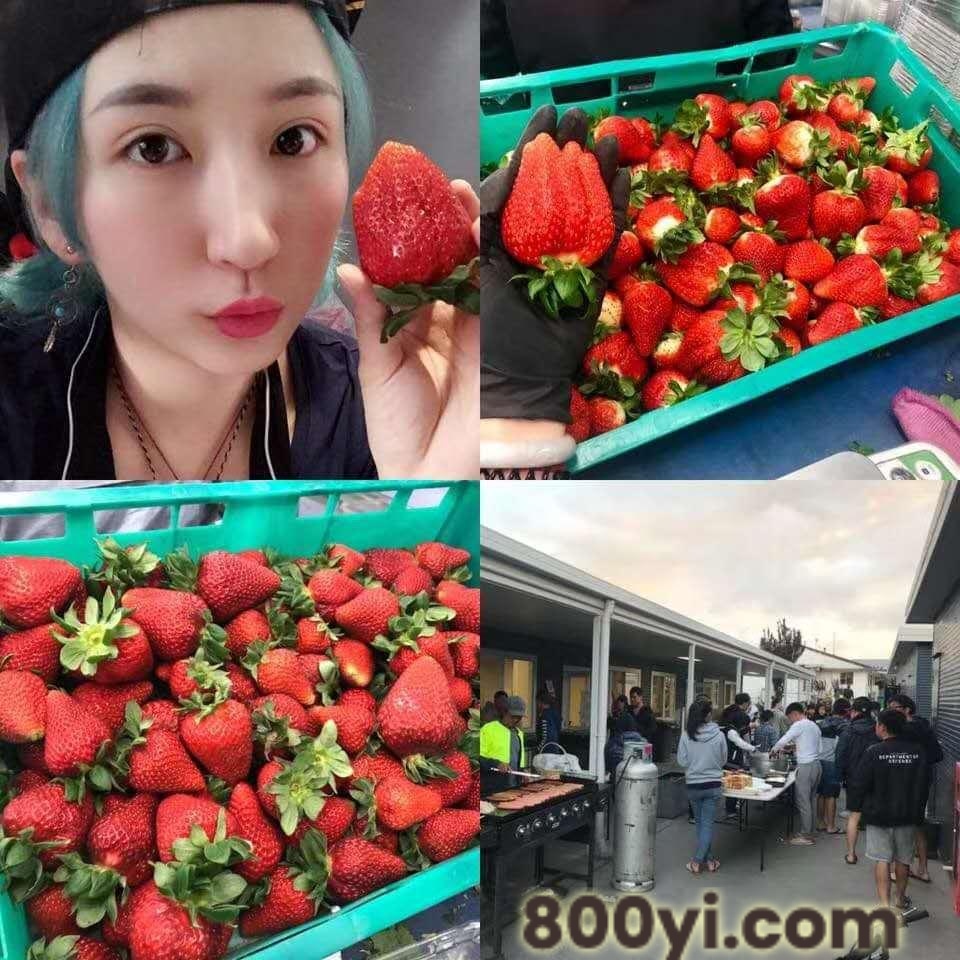 我公司大量招出国劳务工人有无技术均可年薪40万以上劳务输出