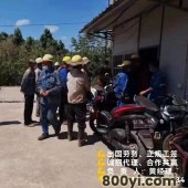 浙江出国打工司机厨师建筑工厂等安排年薪35万起包吃