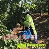 正规工作正规出国打工-年薪40万