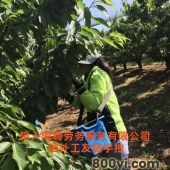 四川海聘劳务正规劳务中介丹麦夫妻工-月薪3.2W-工资月结