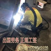 现在出国劳务可以去新西兰农场