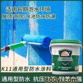 K11通用型防水涂料-内外墙卫生间水池专用-家装工程-双虹