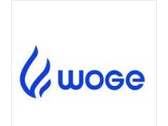 2025第10届世界石油天然气装备博览会暨采购大会（WOGE2025）