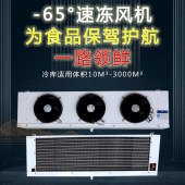 空调冷风机-蒸发式制冷机定制加工-奔康冷冻